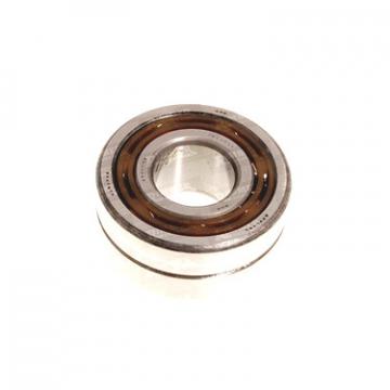 Bearing TM-DF0581N NTN