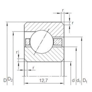 Bearing CSED 1003) INA