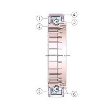 Bearing F-228237.3 INA