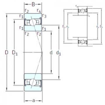 Bearing HB100 /S 7CE1 SNFA