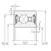 Bearing CSXU 055.2RS INA