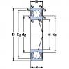 Bearing S7000 CD/HCP4A SKF