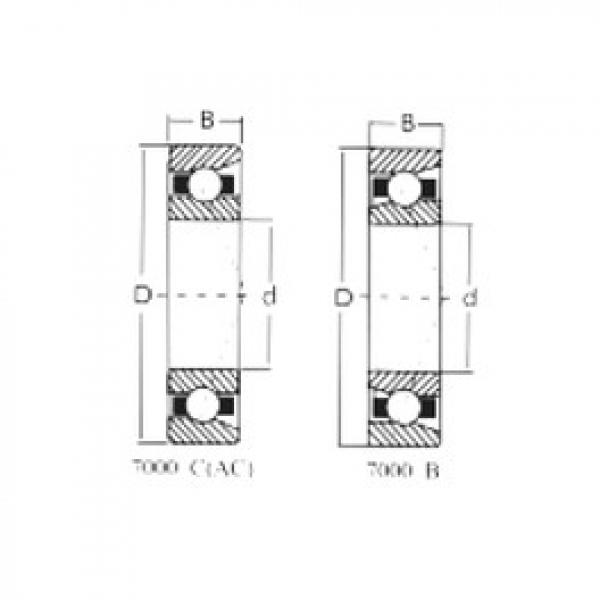 Bearing 7305B CRAFT #5 image