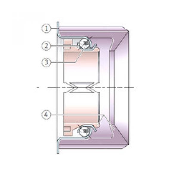 Bearing F-213334.5 INA #5 image